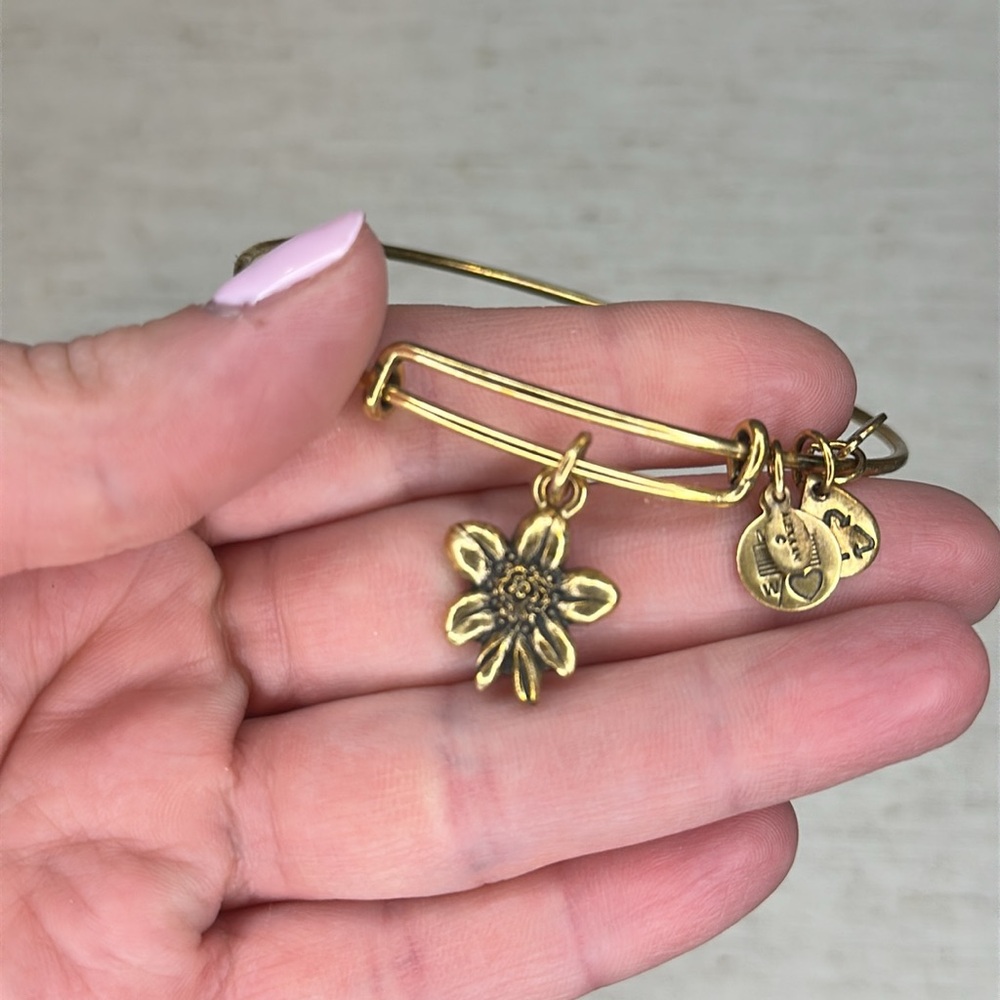 Large Alex and ani bundle - Picture 11 of 11